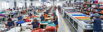 Mega Distributor